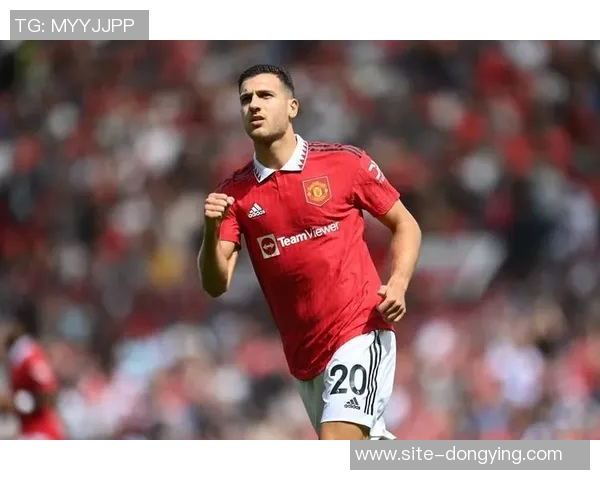 邓利维称本赛季阵容为22年夺冠后最佳缺少核心球员难以取胜